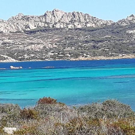 L'Asfodelo Acomodação com café da manhã La Maddalena  Exterior foto