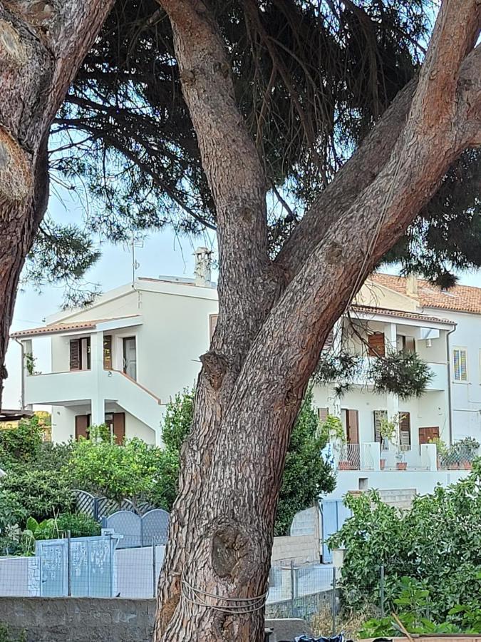 L'Asfodelo Acomodação com café da manhã La Maddalena  Exterior foto